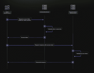 Understanding Machine-to-Machine (M2M) Authentication: 2025 Guide